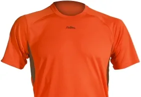 Preconceived Ideas About Running