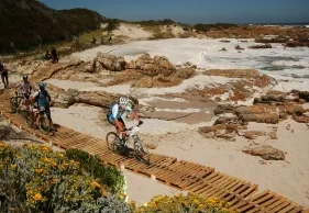 Noakes says NO to Carbs