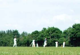 Cricket: AB De Villiers