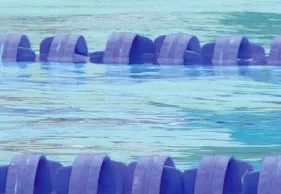 Swimming: Cameron van der Burgh